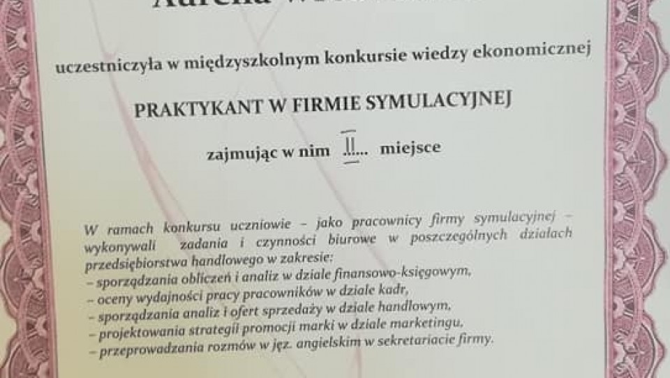 ZSAE - Praktykant w firmie symulacyjnej 2019