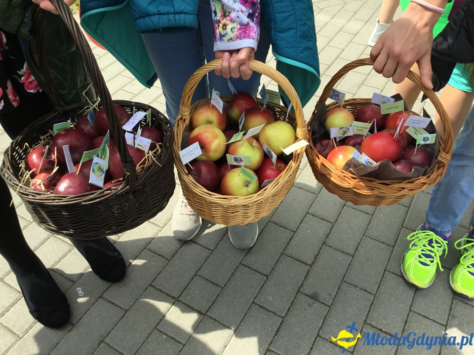 SP 12 - Erasmus + -  10.05.2019