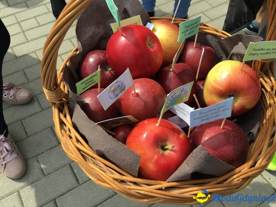 SP 12 - Erasmus + -  10.05.2019