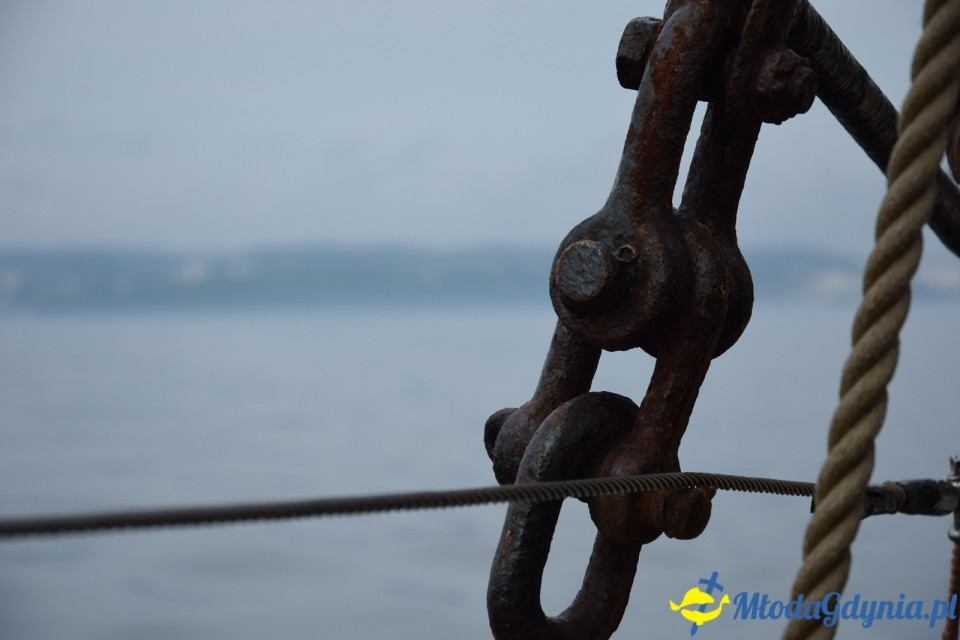 Tydzień Zawiszy Czarnego w Gdyńskim Porcie