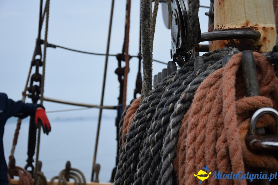 Tydzień Zawiszy Czarnego w Gdyńskim Porcie