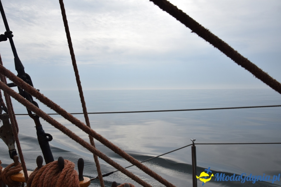 Tydzień Zawiszy Czarnego w Gdyńskim Porcie