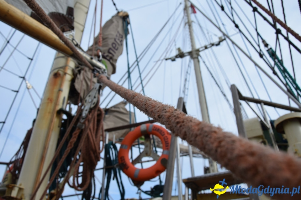 Tydzień Zawiszy Czarnego w Gdyńskim Porcie