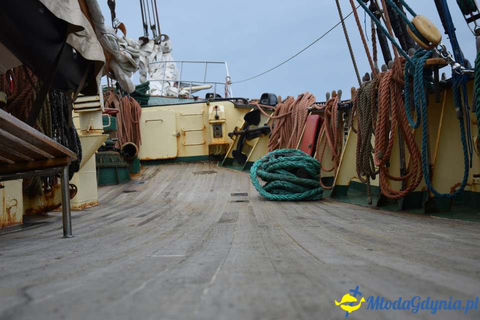 Tydzień Zawiszy Czarnego w Gdyńskim Porcie