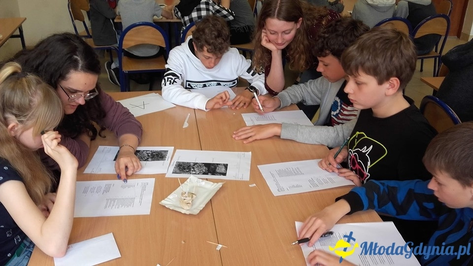 X LO - uczniowie prowadzą lekcje