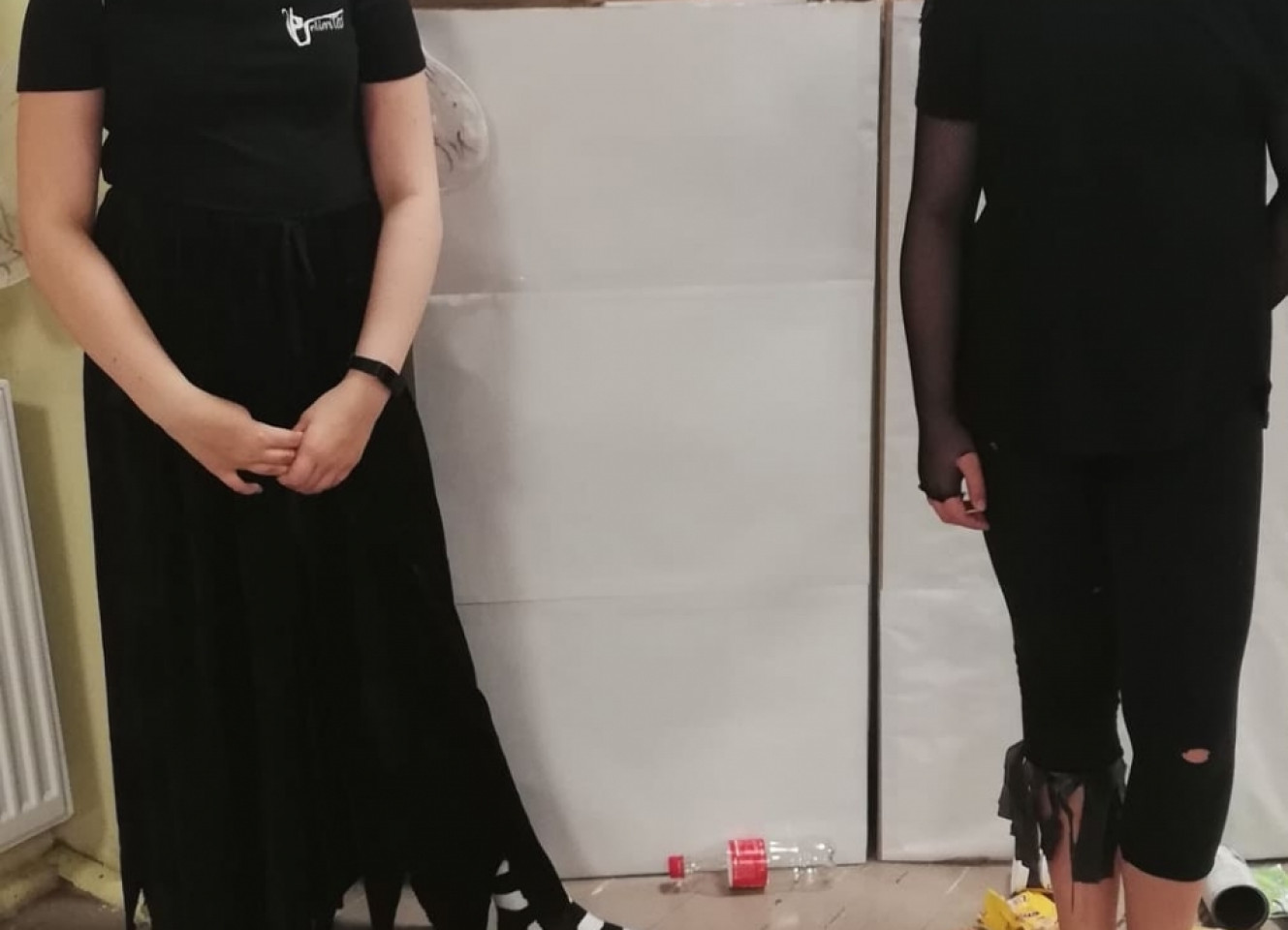 ZSP 2 - Królestwo Zielonej Polany