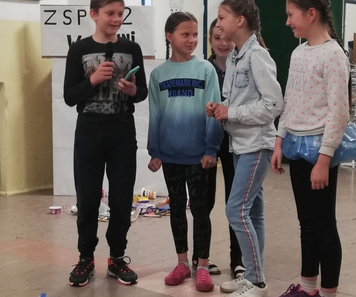 ZSP 2 - Królestwo Zielonej Polany