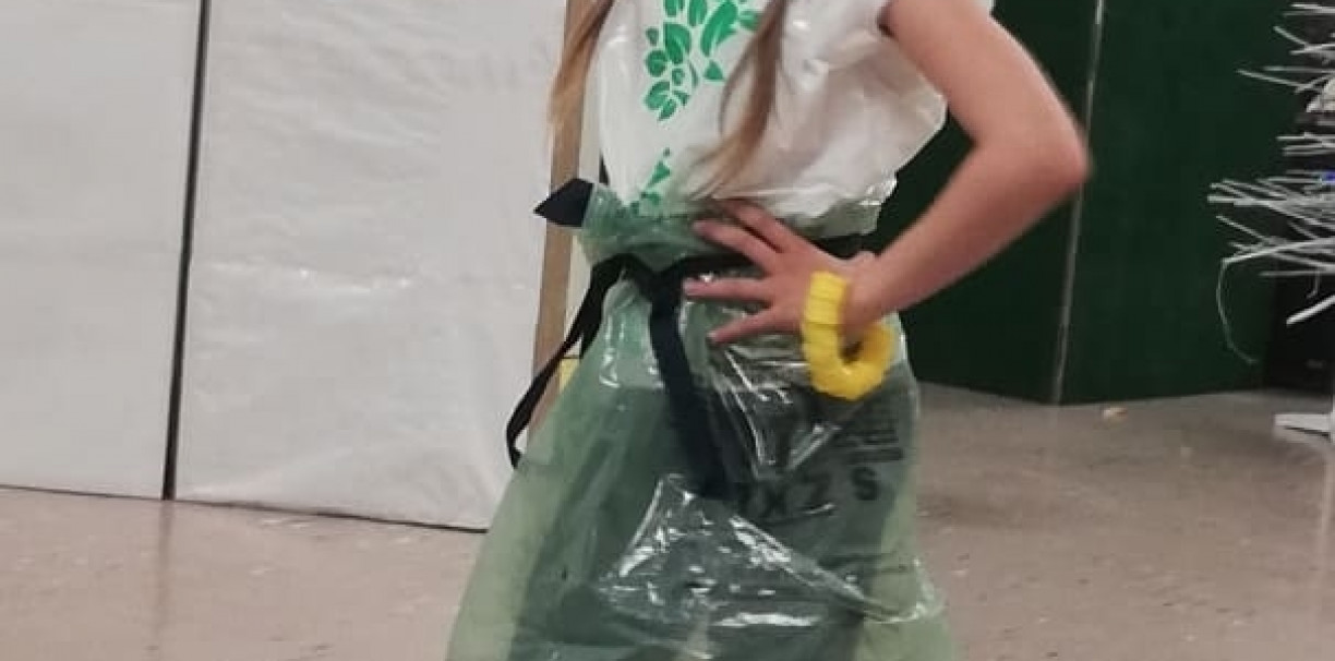 ZSP 2 - Królestwo Zielonej Polany