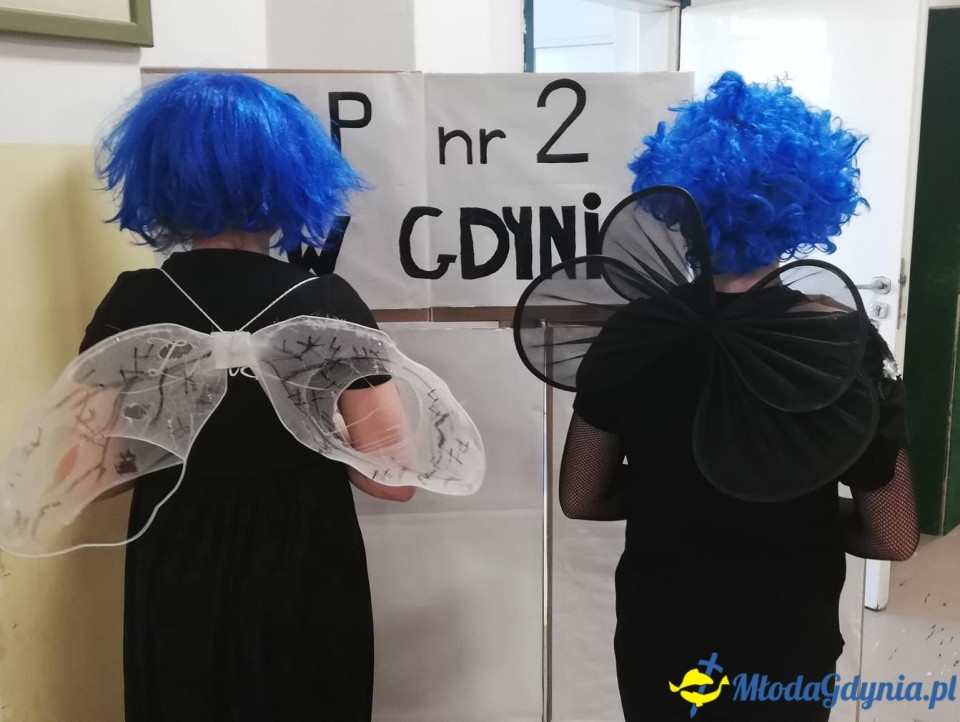 ZSP 2 - Królestwo Zielonej Polany