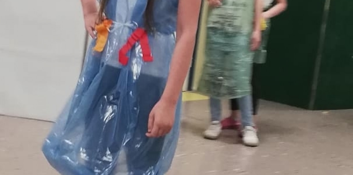 ZSP 2 - Królestwo Zielonej Polany