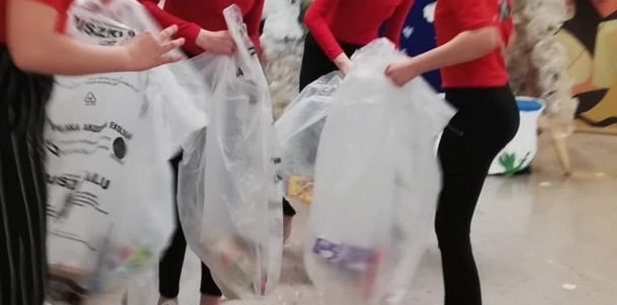 ZSP 2 - Królestwo Zielonej Polany