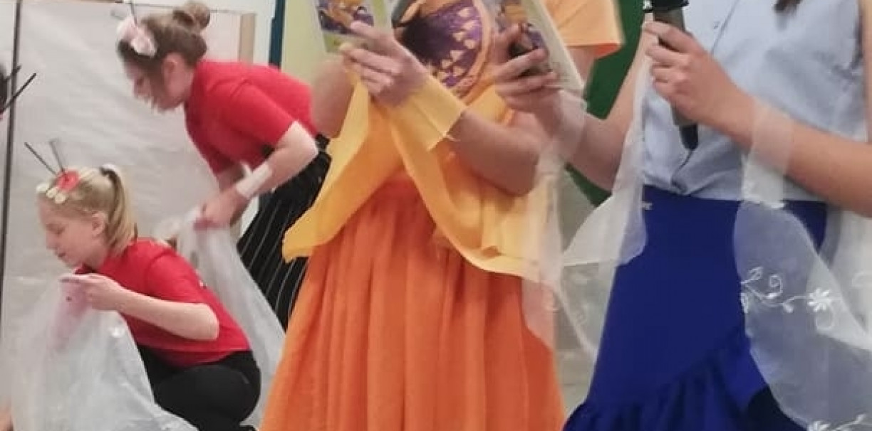 ZSP 2 - Królestwo Zielonej Polany