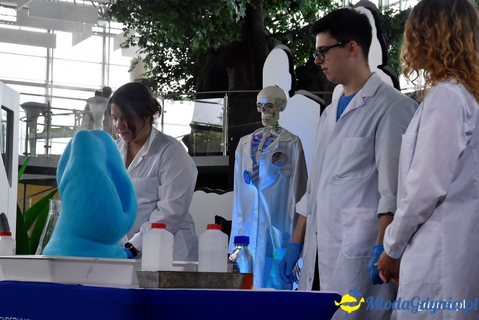 Cyrkowy klimat i eksperymenty ? Dzień Dziecka w Gdyni