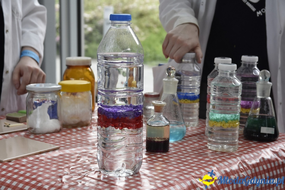 Cyrkowy klimat i eksperymenty ? Dzień Dziecka w Gdyni