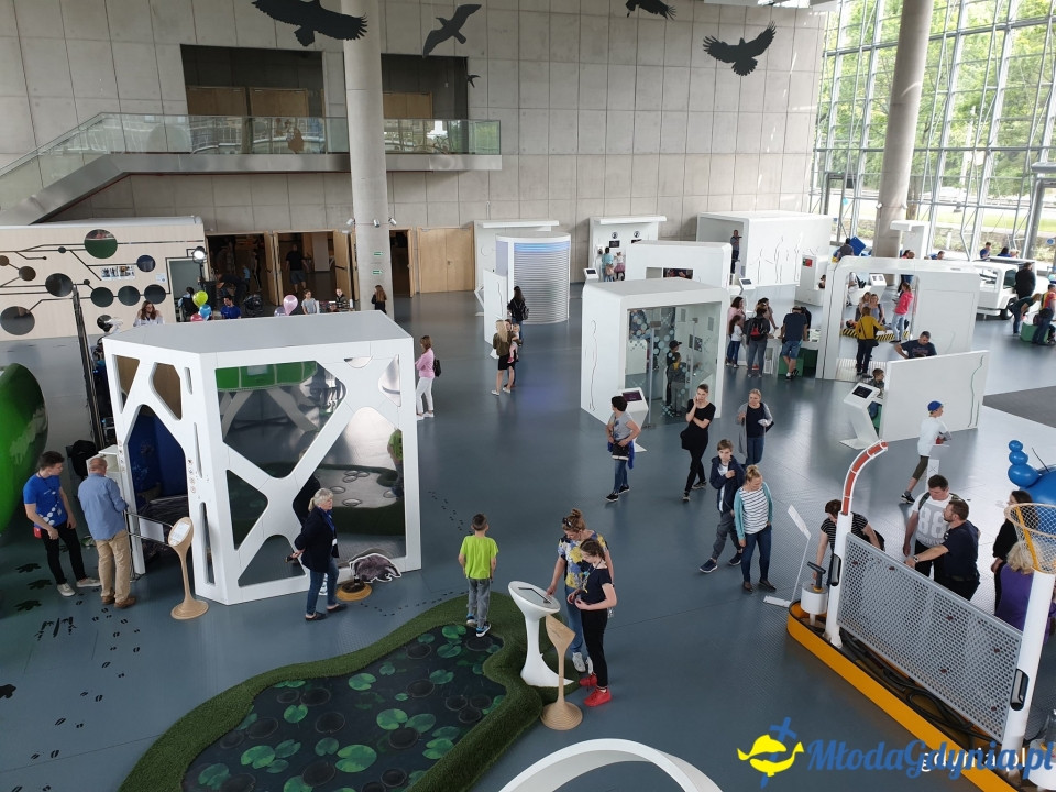 Cyrkowy klimat i eksperymenty ? Dzień Dziecka w Gdyni