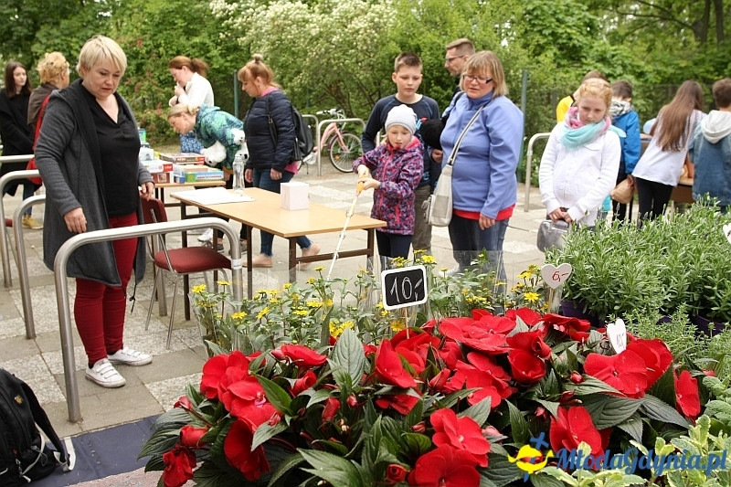 SP 51 - otwarcie boiska i festyn