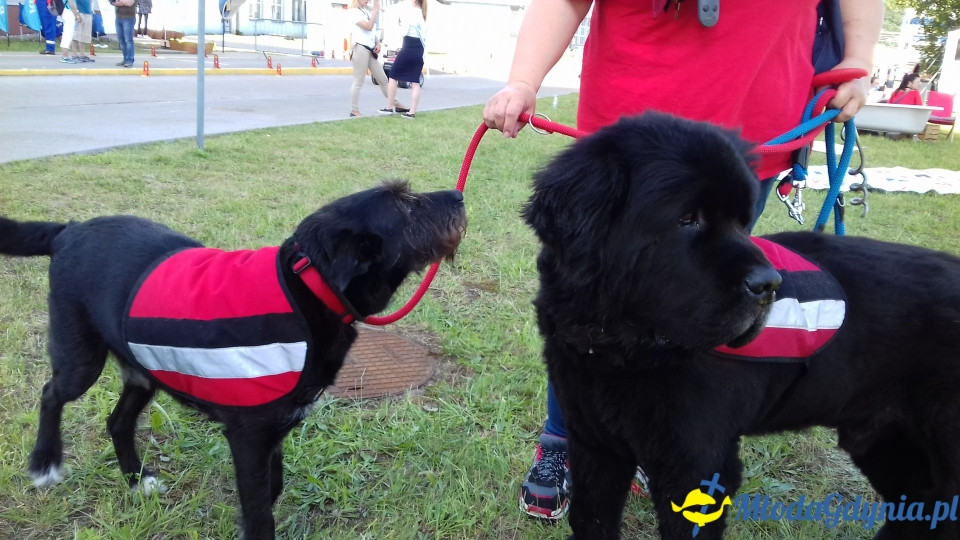 Dzień Otwarty w Elektrociepłowni PGE Energia Ciepła w Gdyni