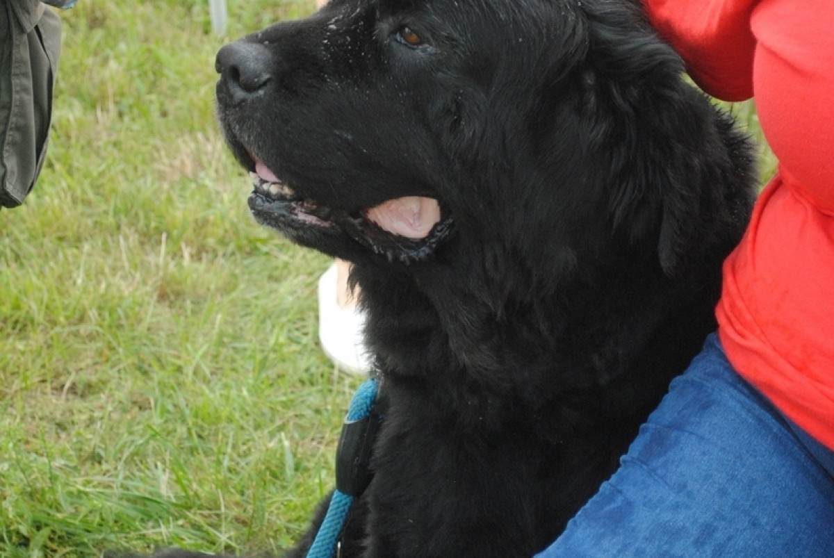 Otwarte Drzwi Elektrociepłowni Gdynia - 15.06.2019r.