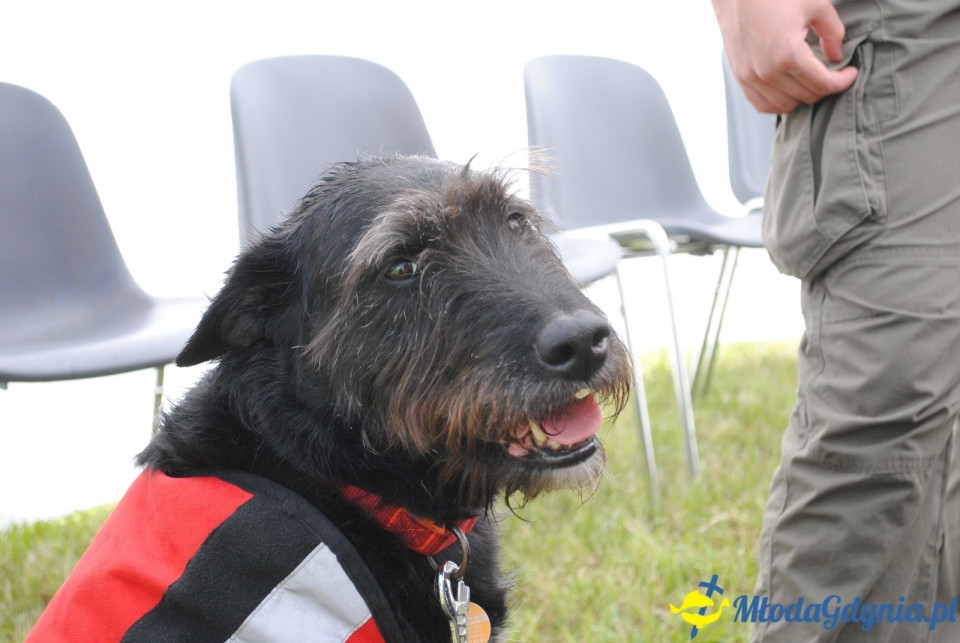 Otwarte Drzwi Elektrociepłowni Gdynia - 15.06.2019r.