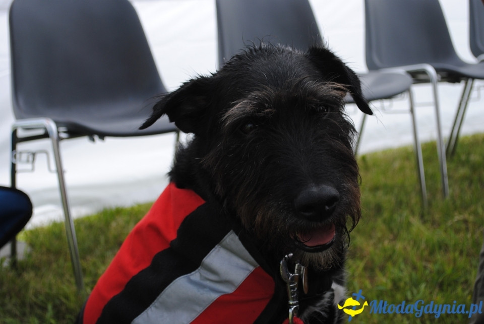 Otwarte Drzwi Elektrociepłowni Gdynia - 15.06.2019r.