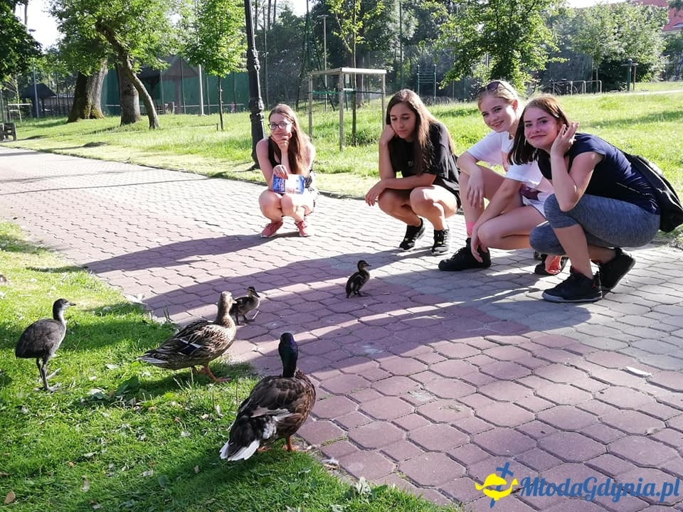 Lato 2019 z Sharks Travel - I turnus