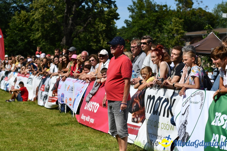 XXIV Krajowa Wystawa Psów Rasowych