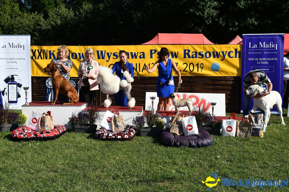 XXIV Krajowa Wystawa Psów Rasowych