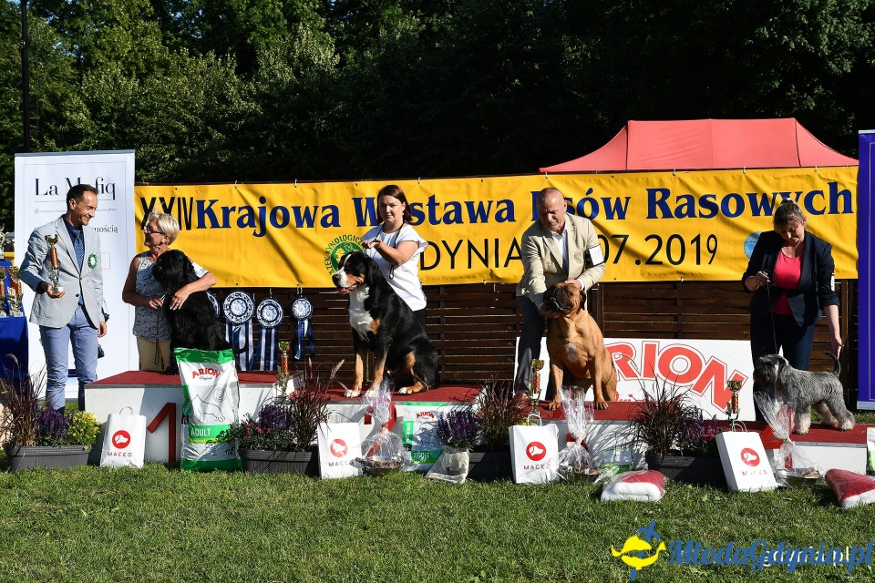 XXIV Krajowa Wystawa Psów Rasowych