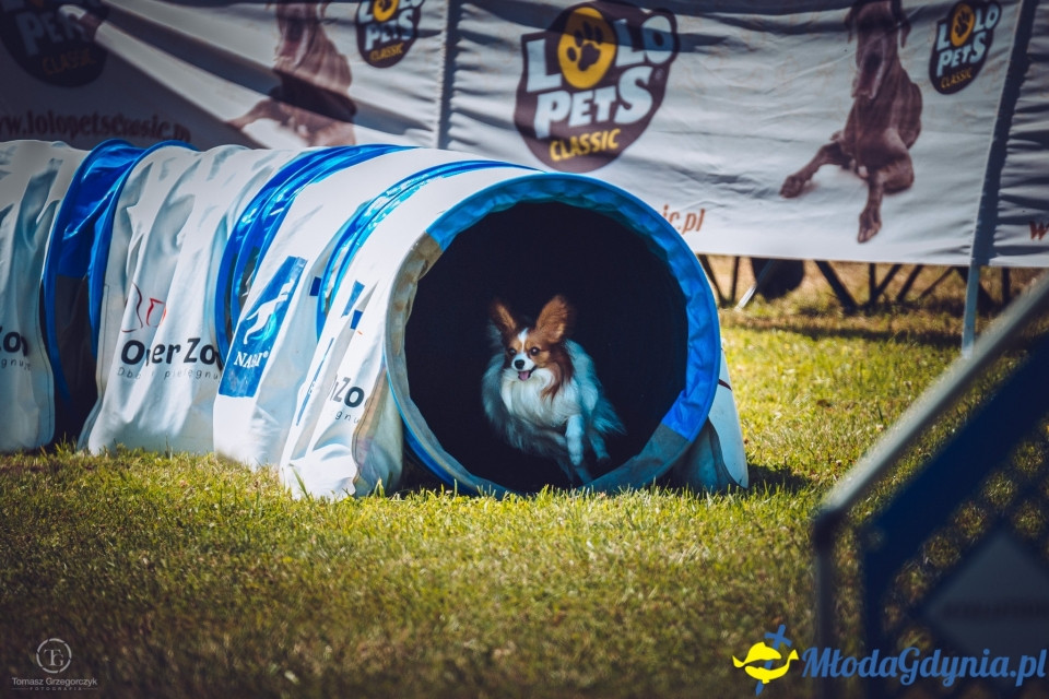 XXIV Krajowa Wystawa Psów Rasowych - National Dog Show (CAC)