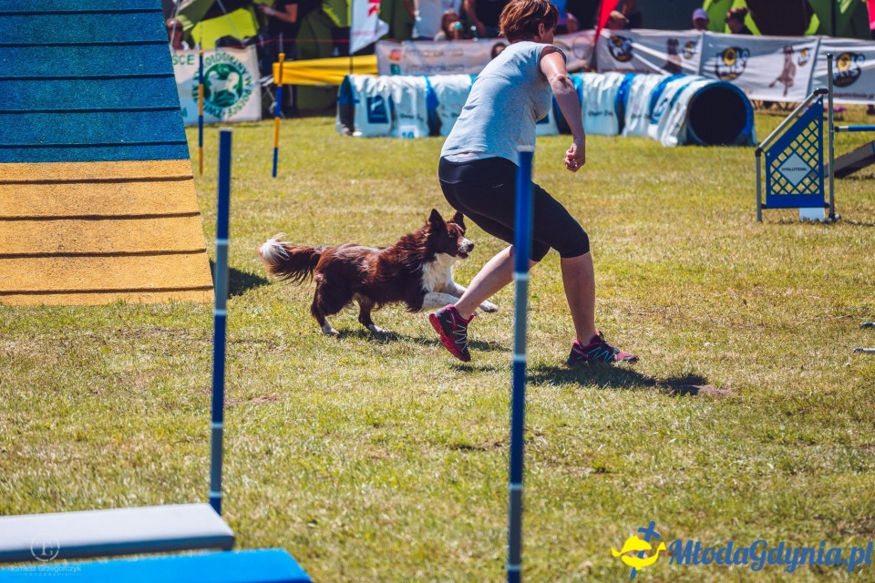 XXIV Krajowa Wystawa Psów Rasowych - National Dog Show (CAC)