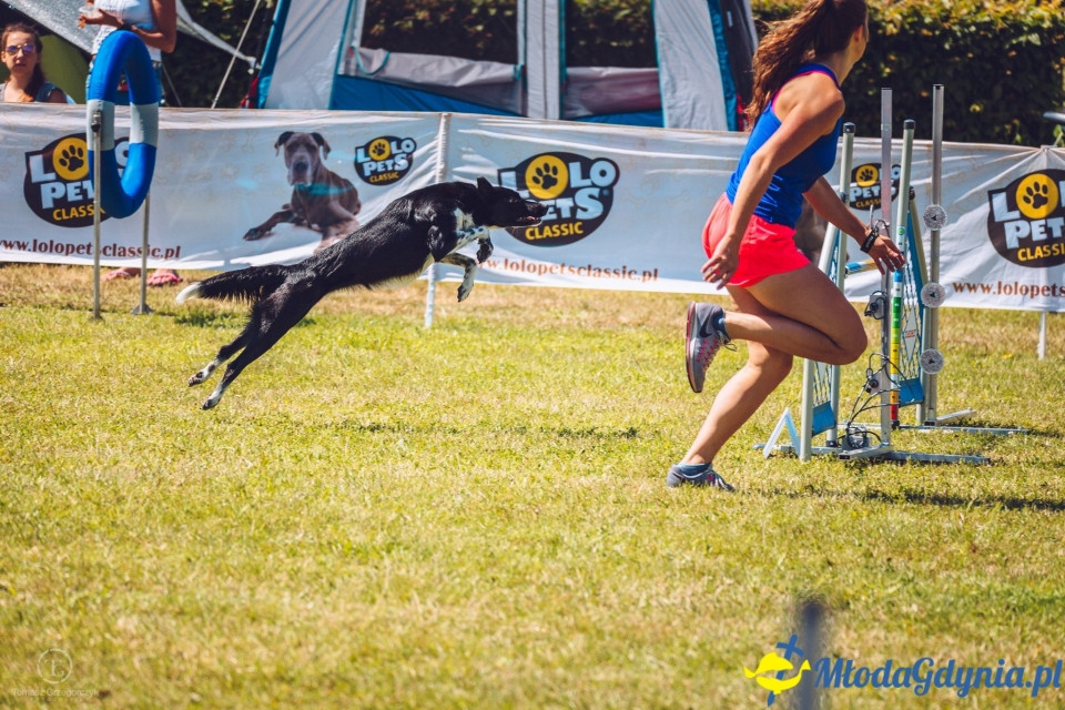 XXIV Krajowa Wystawa Psów Rasowych - National Dog Show (CAC)
