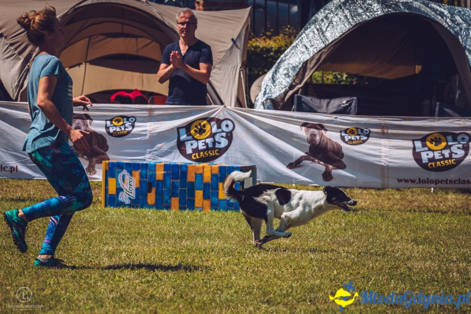 XXIV Krajowa Wystawa Psów Rasowych - National Dog Show (CAC)