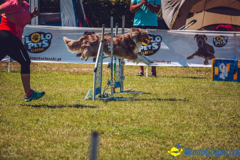 XXIV Krajowa Wystawa Psów Rasowych - National Dog Show (CAC)