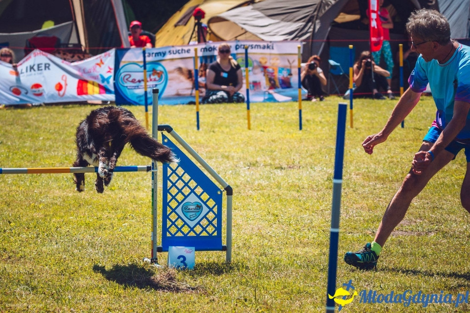 XXIV Krajowa Wystawa Psów Rasowych - National Dog Show (CAC)