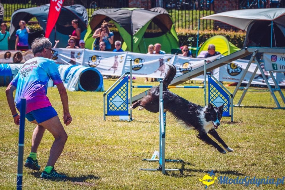 XXIV Krajowa Wystawa Psów Rasowych - National Dog Show (CAC)