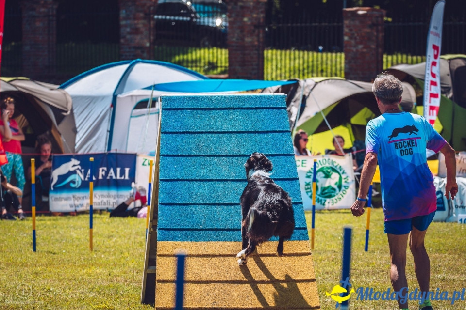 XXIV Krajowa Wystawa Psów Rasowych - National Dog Show (CAC)