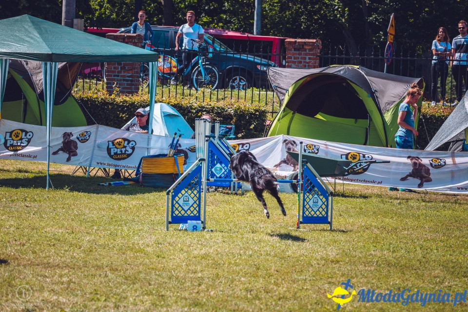 XXIV Krajowa Wystawa Psów Rasowych - National Dog Show (CAC)