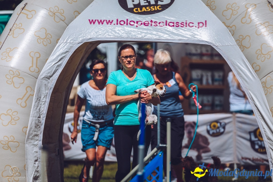 XXIV Krajowa Wystawa Psów Rasowych - National Dog Show (CAC)