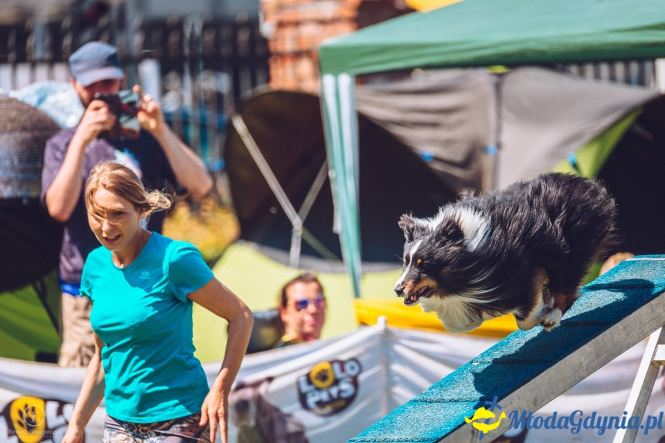 XXIV Krajowa Wystawa Psów Rasowych - National Dog Show (CAC)