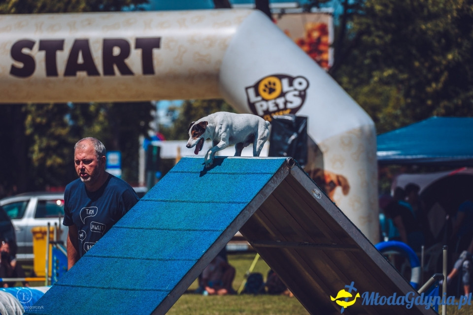 XXIV Krajowa Wystawa Psów Rasowych - National Dog Show (CAC)