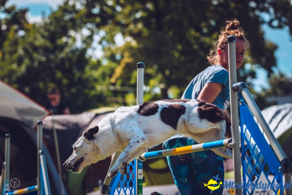 XXIV Krajowa Wystawa Psów Rasowych - National Dog Show (CAC)