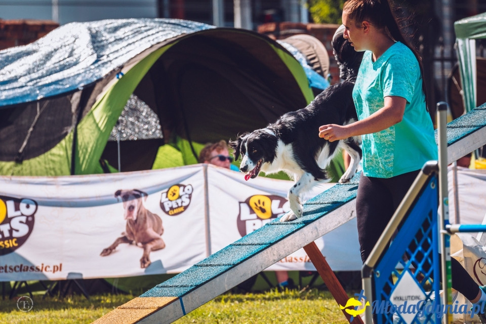 XXIV Krajowa Wystawa Psów Rasowych - National Dog Show (CAC)