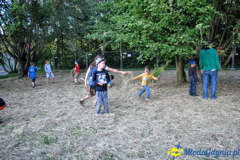 Globaltica World Cultures Festival 2019 - 19.07.2019