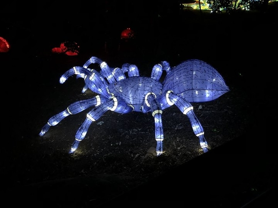 Uczniowie ZSJ w Australii