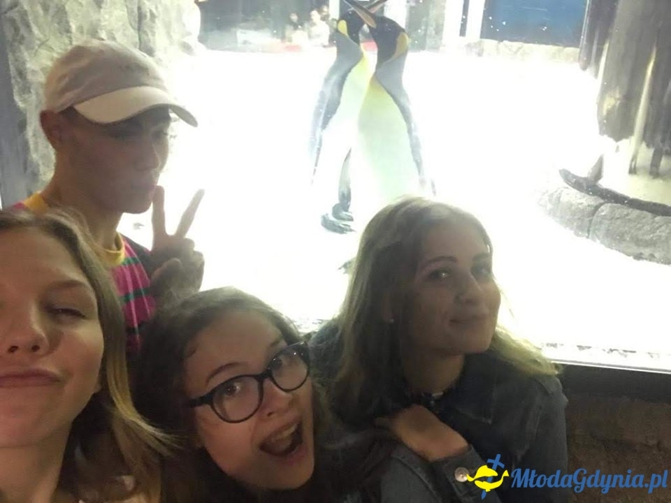 Uczniowie ZSJ w Australii