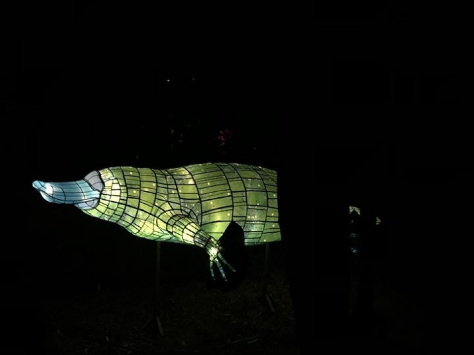 Uczniowie ZSJ w Australii