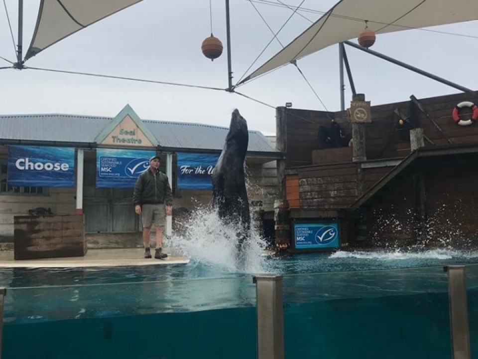 Uczniowie ZSJ w Australii