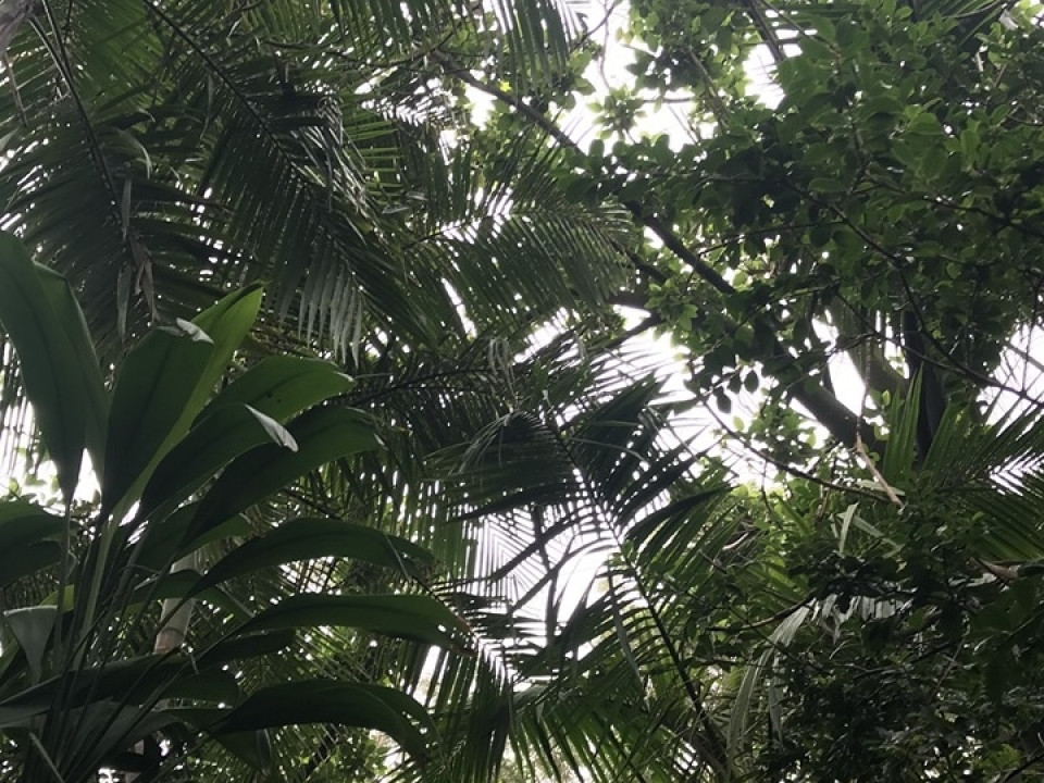 Uczniowie ZSJ w Australii