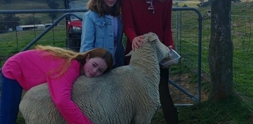 Uczniowie ZSJ w Australii