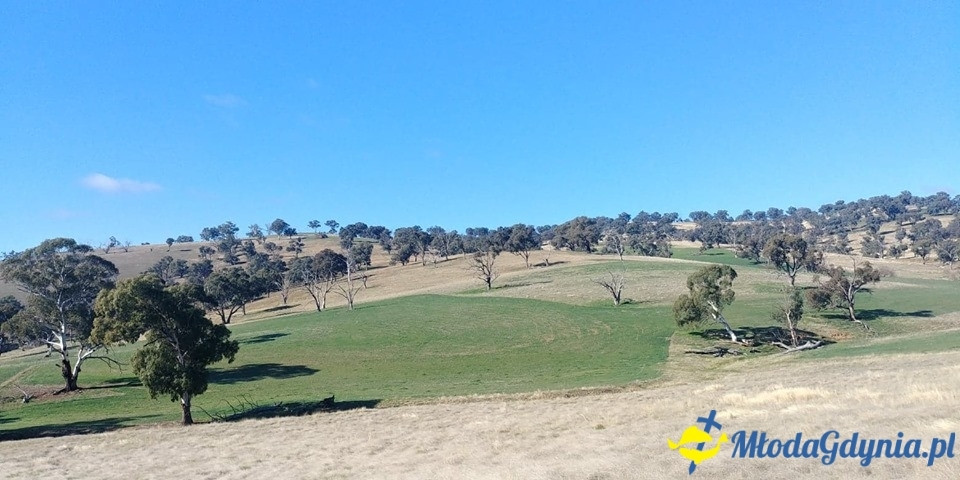 Uczniowie ZSJ w Australii